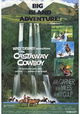 The Castaway Cowboy
