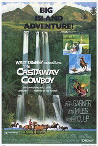 The Castaway Cowboy (1974)
