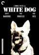 White Dog