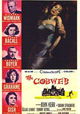 The Cobweb