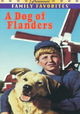 A Dog of Flanders