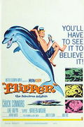 Flipper
