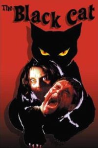Black Cat (1981)