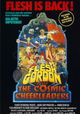 Flesh Gordon Meets the Cosmic Cheerleaders