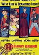 The Halliday Brand