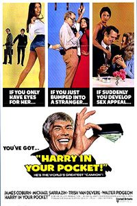 Harry in Your Pocket