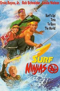 Surf Ninjas
