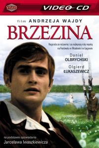 Brzezina