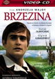 Brzezina