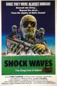 Shock Waves