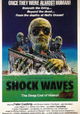 Shock Waves