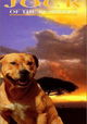 Jock of the Bushveld