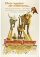 The Incredible Journey