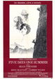 Five Days One Summer