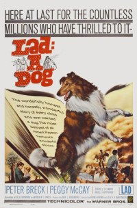 Lad: A Dog (1962)