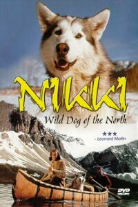 Nikki, Wild Dog of the North