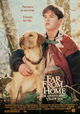 Far from Home: The Adventures of Yellow Dog