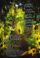 A Midsummer Night's Dream