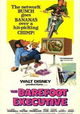 The Barefoot Executive