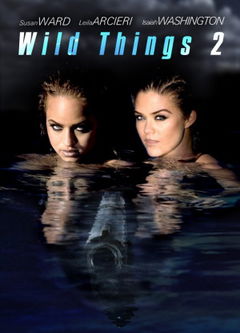 Wild Things 2 (2004)