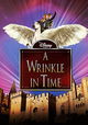 A Wrinkle in Time