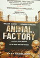 Animal Factory