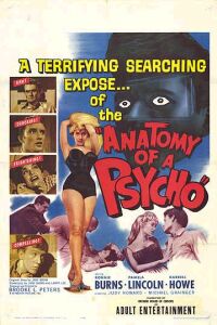 Anatomy of a Psycho