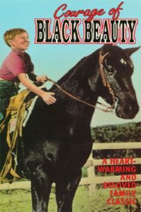 Courage of Black Beauty