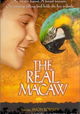 The Real Macaw