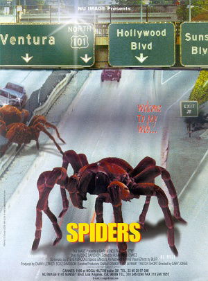 Spiders