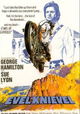 Evel Knievel