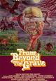 From Beyond the Grave