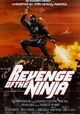 Revenge of the Ninja