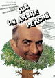 Sur un arbre perché