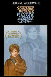 Summer Wishes, Winter Dreams
