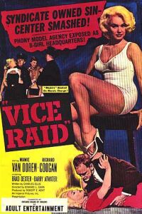 Vice Raid