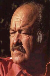 The Return of Frank Cannon (1980)