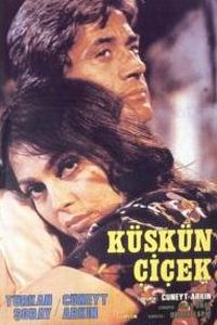 Kuskun cicek (1979)