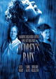 Audrey's Rain