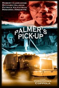Palmer's Pick Up