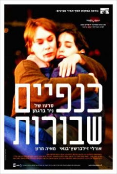 Broken Wings (2002)