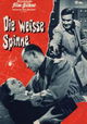 Die weiße Spinne