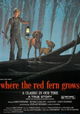 Where the Red Fern Grows