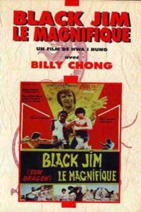 Shou zhi ao chu (1981)