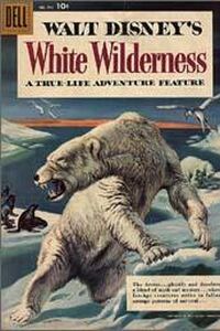 White Wilderness