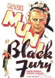 Black Fury