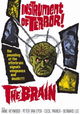 The Brain