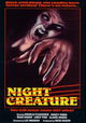 Night Creature