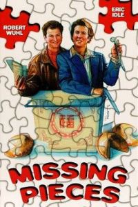 Missing Pieces