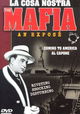 Mafia: An Exposé